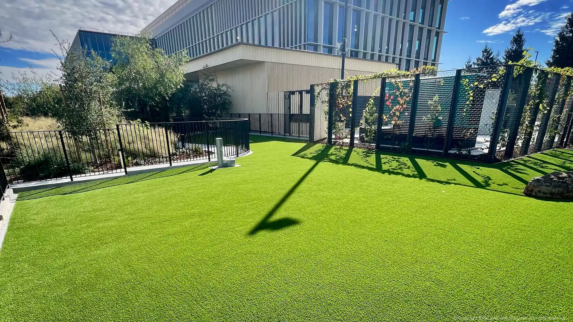 Commercial Artificial Turf in Sunnyvale Upgrades Google Campuses