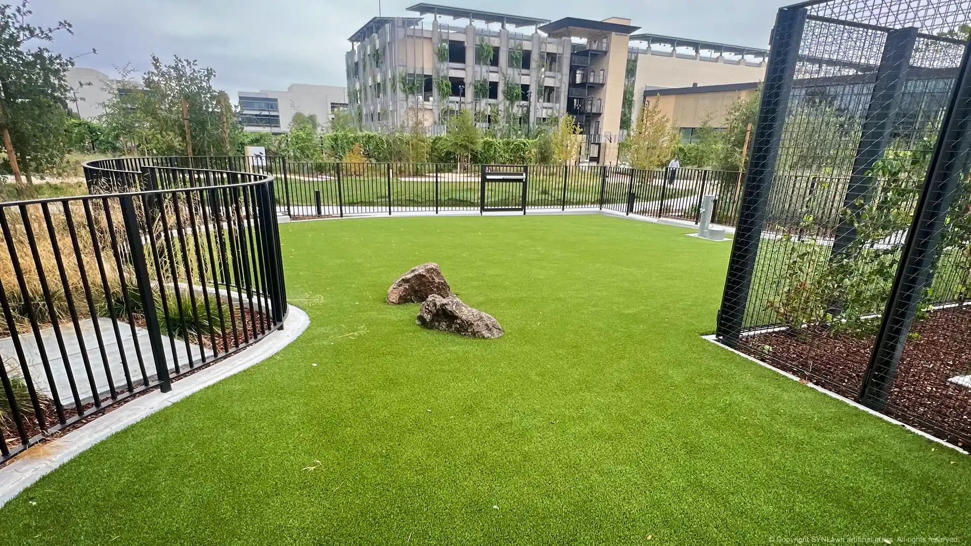 SYNLawn artificial grass pet grass park installation at Google Headquarters in Sunnyvale California image of synlawn artificial grass for pets installed at google headquarters pet park