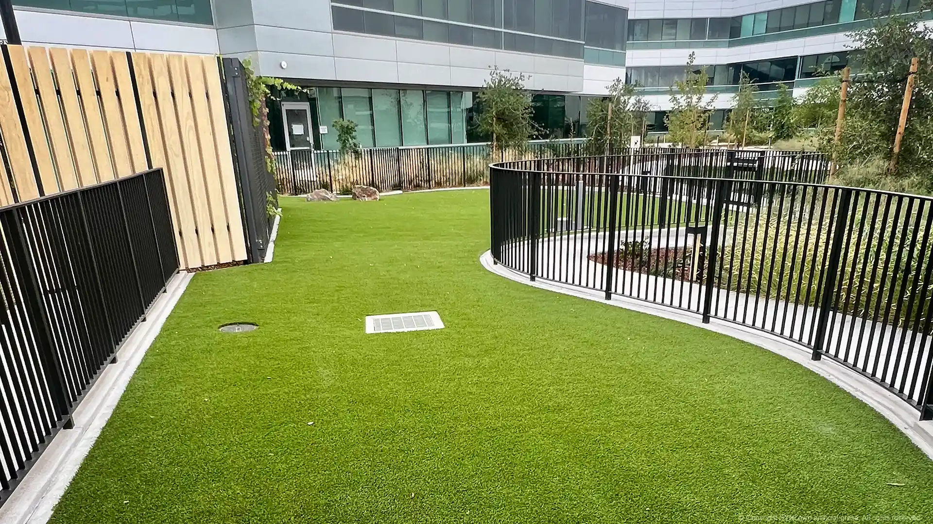 SYNLawn artificial grass pet grass park installation at Google Headquarters in Sunnyvale California image of synlawn artificial grass for pets installed at google headquarters pet park